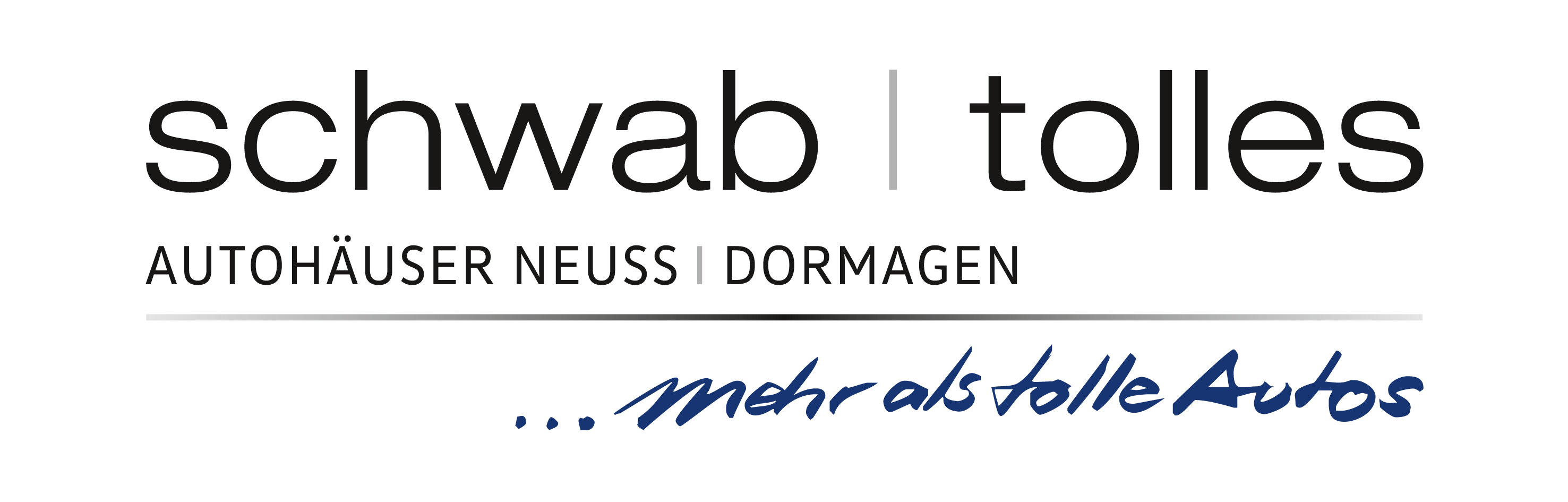 Ladeanimation für VW-Zubehör-Onlineshop Schwab-Tolles