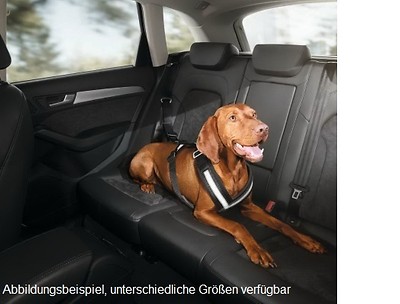 Hundeschutzgurt Größe L (für große Hunde) Hundeschutzgurt Größe L (für große Hunde)