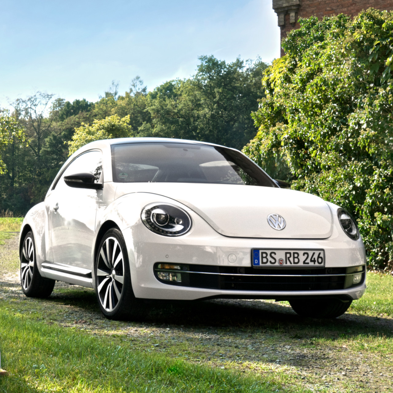 weißer VW Beetle in der Natur