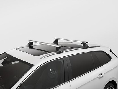 Tragstäbe silber, T-Nut  , Variant